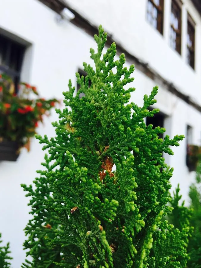 Hotel Omer Berat