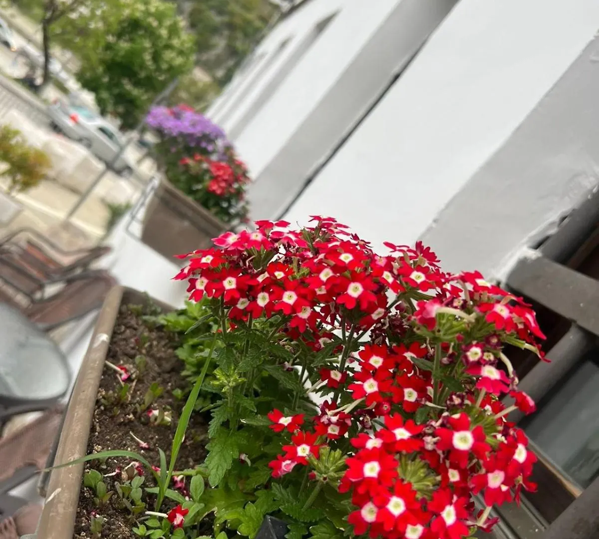Hotel Omer Berat